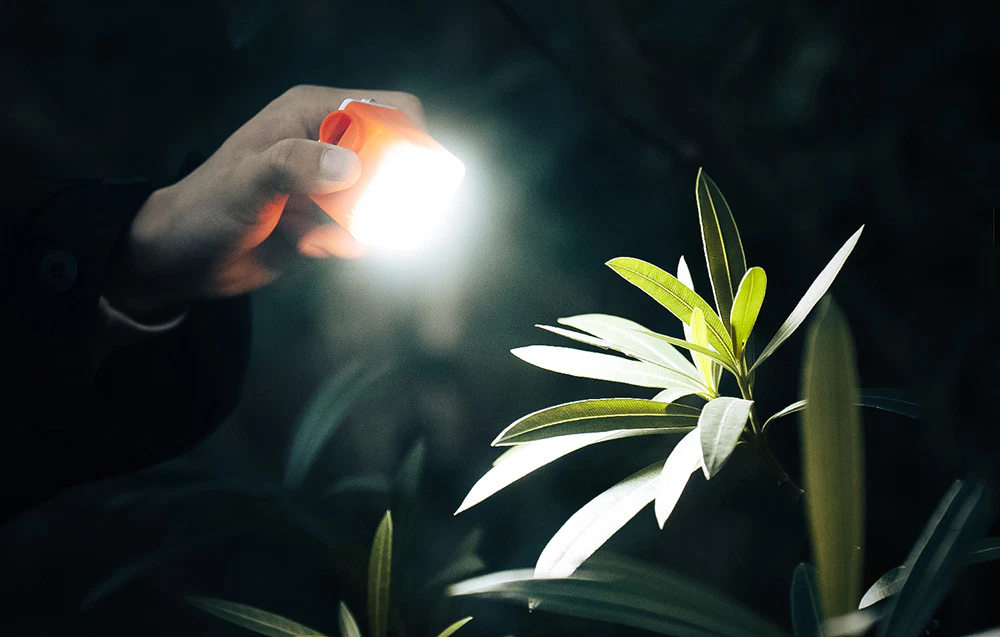Mână ținând pompa Nano, care servește ca lanternă pentru iluminarea unei plante în întuneric