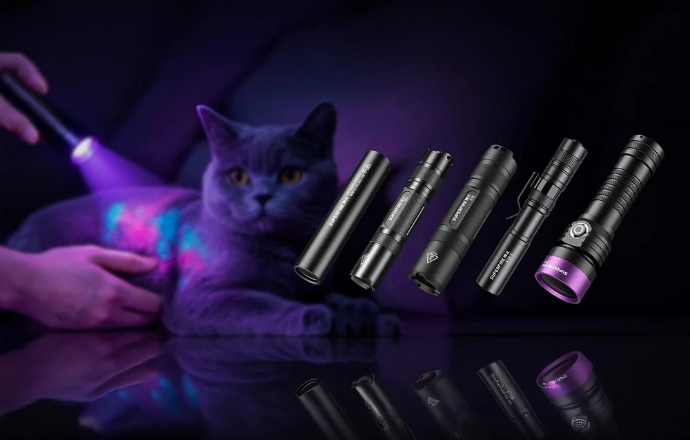 Un rând de cinci lanterne negre de diferite forme pe un fundal întunecat, cu o pisică în lumină violetă lângă ele.