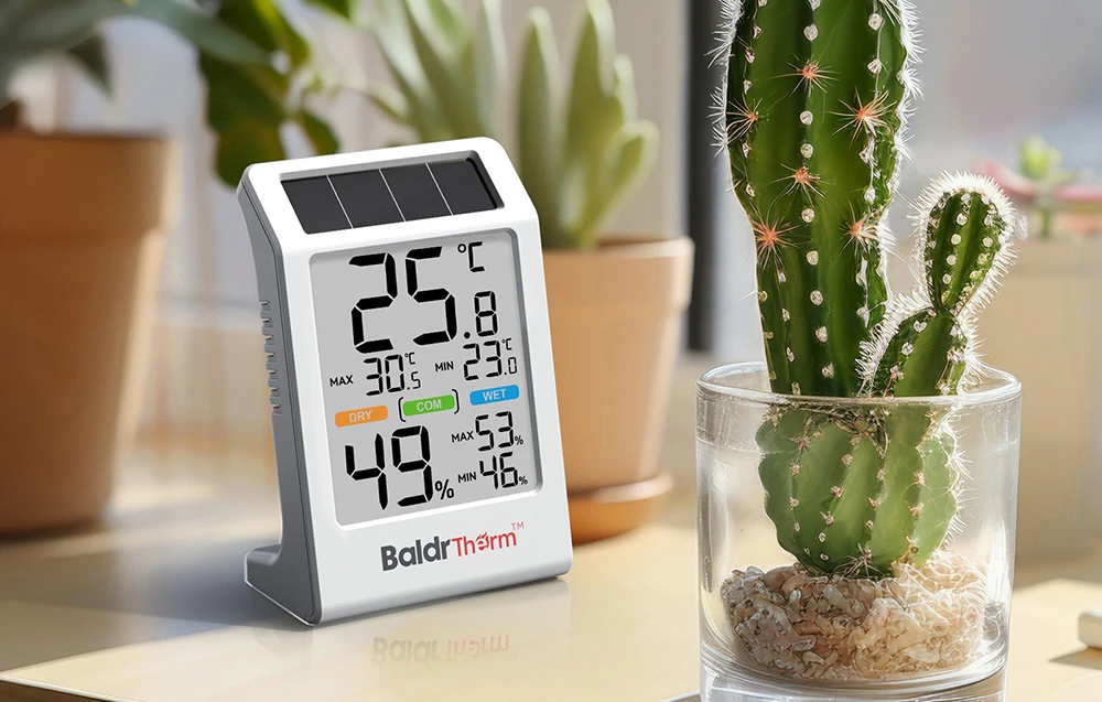 Termo-higrometrul Rainpoint BALDRTHERM pe o masă lângă un cactus