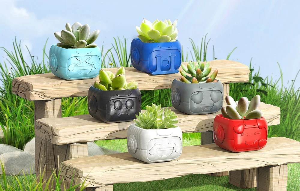 Plante în ghivece colorate pe bănci din lemn