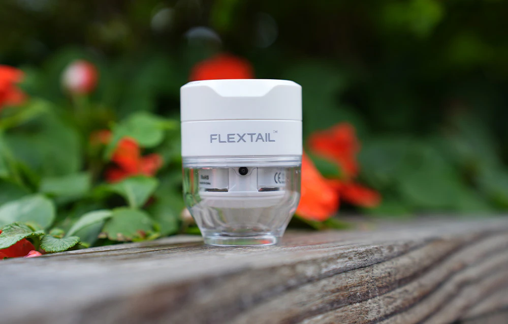 O mică pompă Flextail albă, cu fundul transparent, stă pe o grindă de lemn, pe fundalul vegetației și al florilor roșii