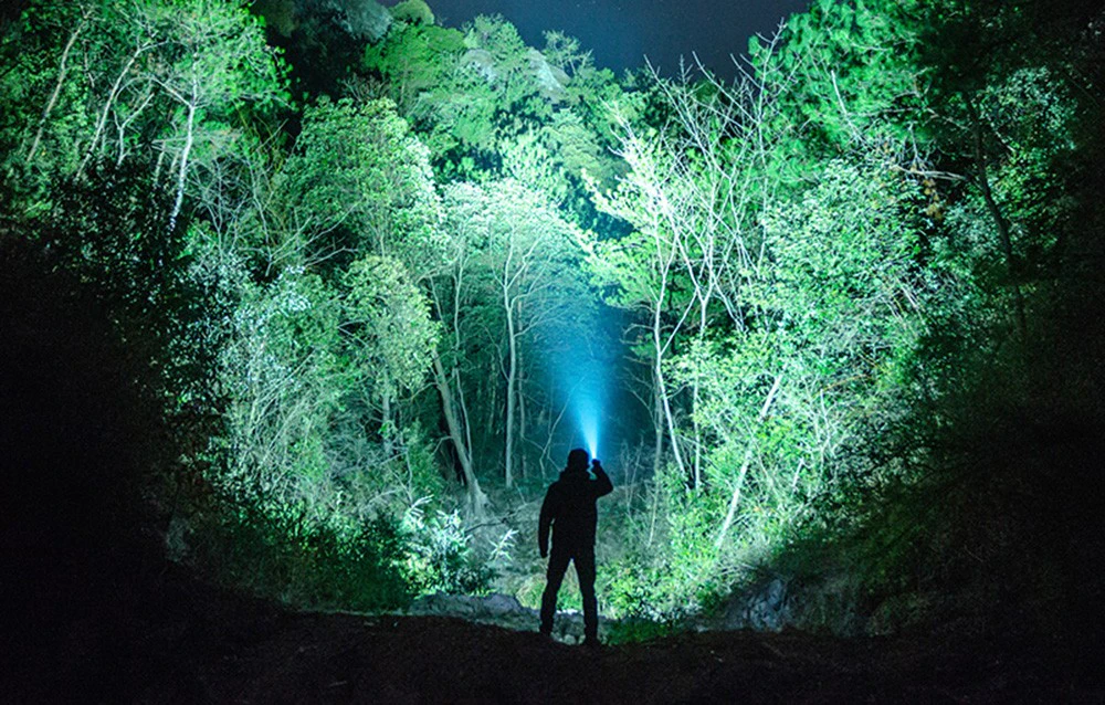 Silueta unei persoane cu o lanternă care iluminează o cale forestieră cu lumină albastră pe timp de noapte