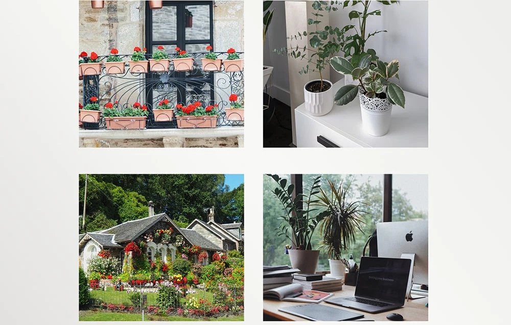 Set de patru fotografii: un balcon plin de flori, plante în ghiveci pe o comodă, o casă în grădină și un birou cu un computer