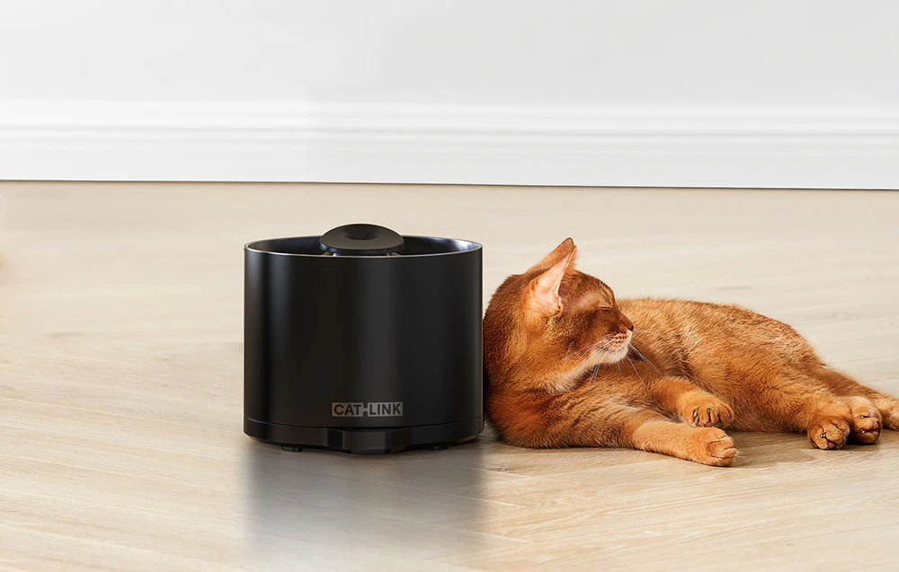 O pisică roșcată întinsă pe o podea din lemn lângă o fântână Catlink Pure 2 Lite neagră