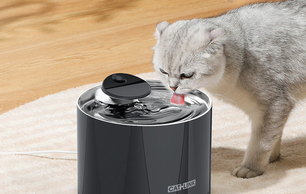 O pisică gri care bea apă dintr-o fântână automată Catlink neagră așezată pe un covor de culoare deschisă