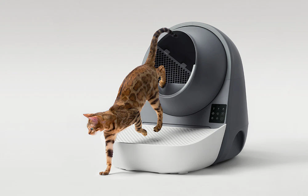 O pisică tigrată sărind de pe treptele albe ale unei cutii de nisip automate CatLink, pe un fundal gri