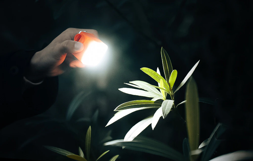 Mână care ține pompa Nano, care servește ca lanternă pentru a ilumina o plantă în întuneric