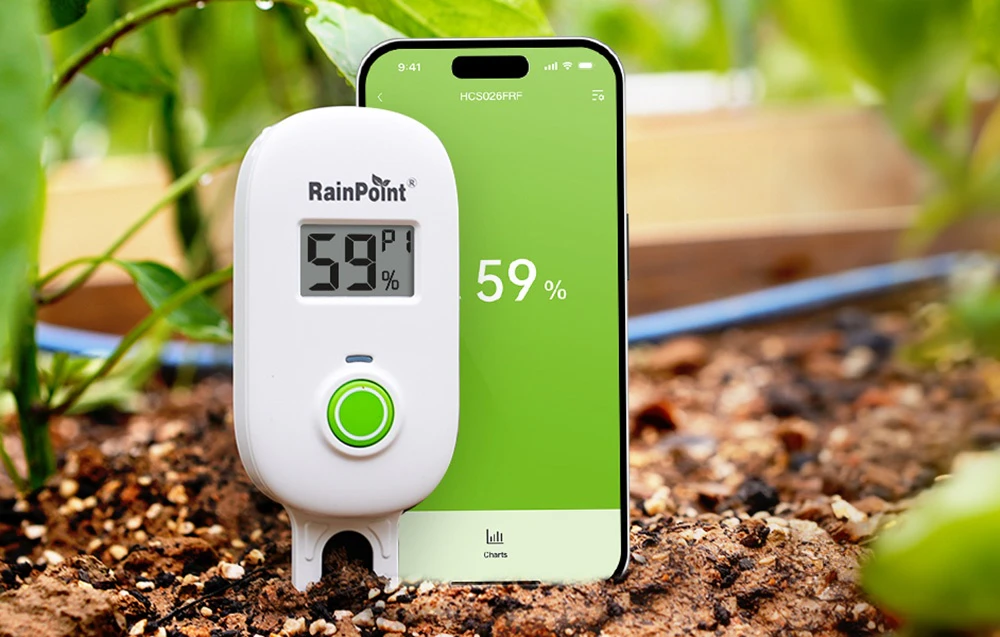 Un contor RainPoint în sol, lângă un smartphone care afișează pe un ecran nivelurile de umiditate din sol.