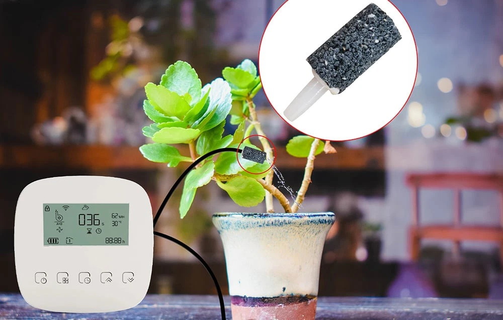 Controler de irigare și o plantă cu un furtun care se termină într-un filtru; filtrul negru este mărit în cercul roșu