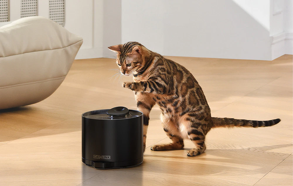 O pisică gri cu pete întinzându-și laba spre o fântână automată neagră Catlink