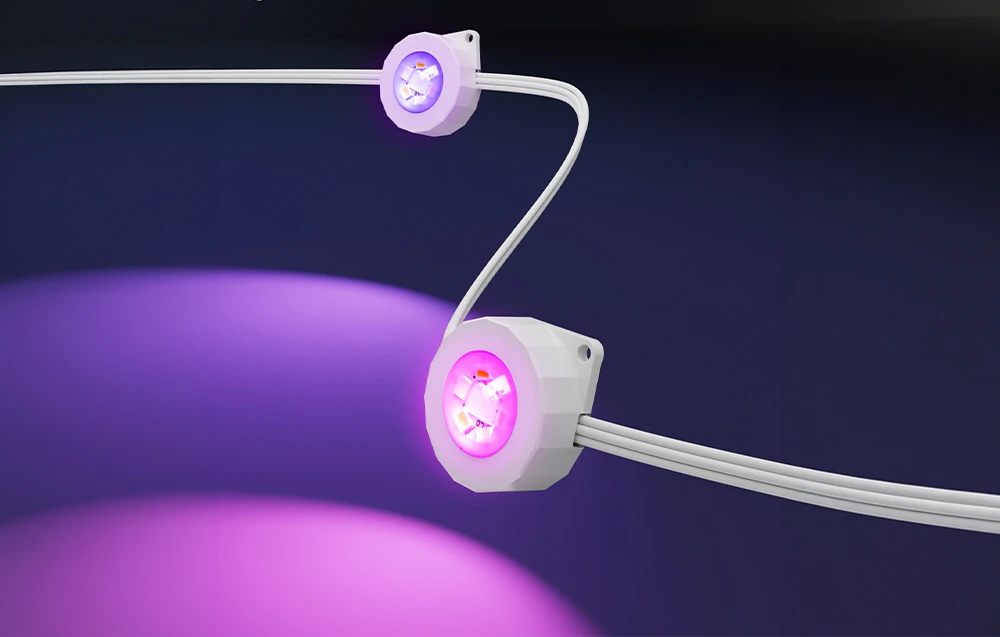 Lumini LED roz și violet pe un fundal întunecat