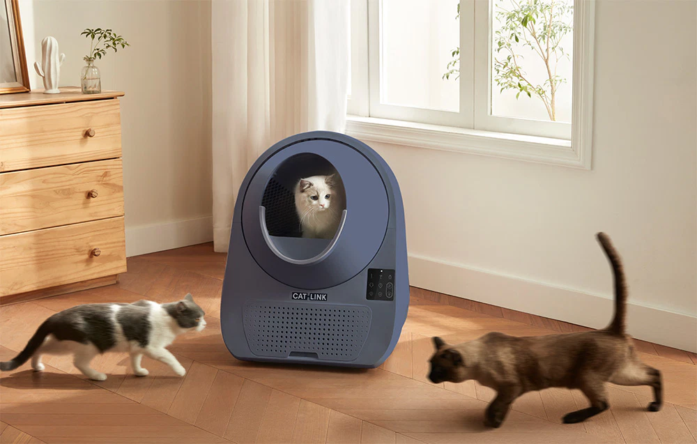 Trei pisici în jurul cutiei de nisip automate CatLink gri — una în interior și două pe podea, în cameră