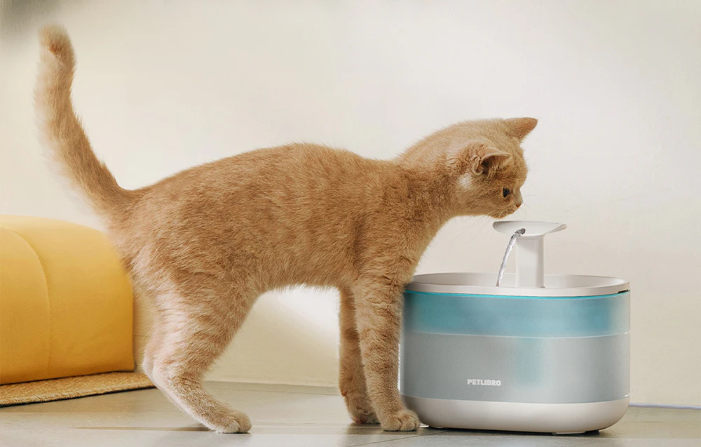 O pisică roșcată care bea apă dintr-o fântână automată așezată lângă un perete.