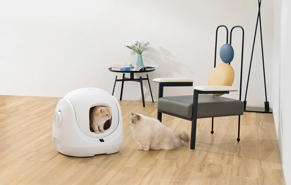 Catlink/CL-CA-01/1