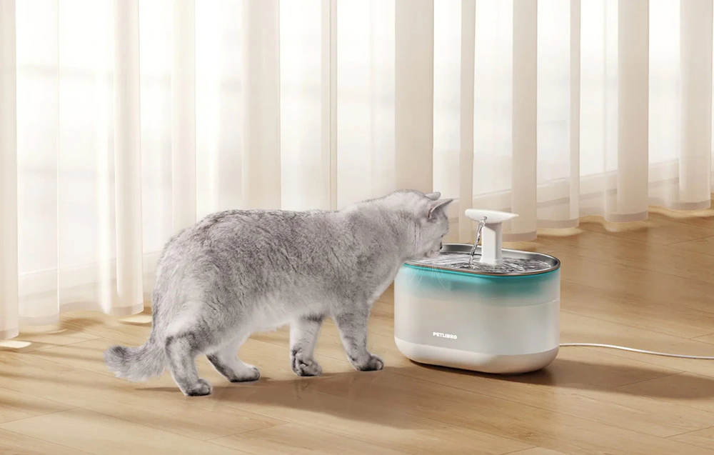 O pisică gri bea apă dintr-un distribuitor electric de apă pentru animale de companie așezat pe o podea din lemn lângă perdele de culoare deschisă