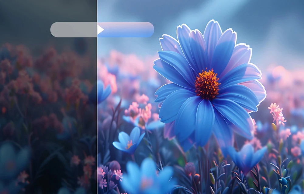 Comparație între luminozitatea imaginii într-o fotografie cu o floare albastră înainte și după reglarea ecranului