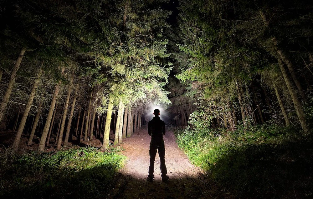 O persoană care poartă o lanternă frontală luminează poteca într-o pădure întunecată, plină de copaci.