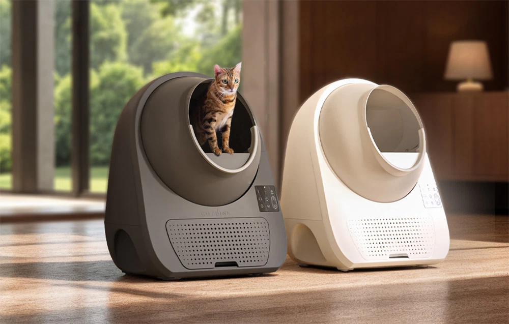 O pisică tigrată așezată la intrarea unei cutii de nisip automate CatLink de culoare gri, așezată lângă o versiune bej