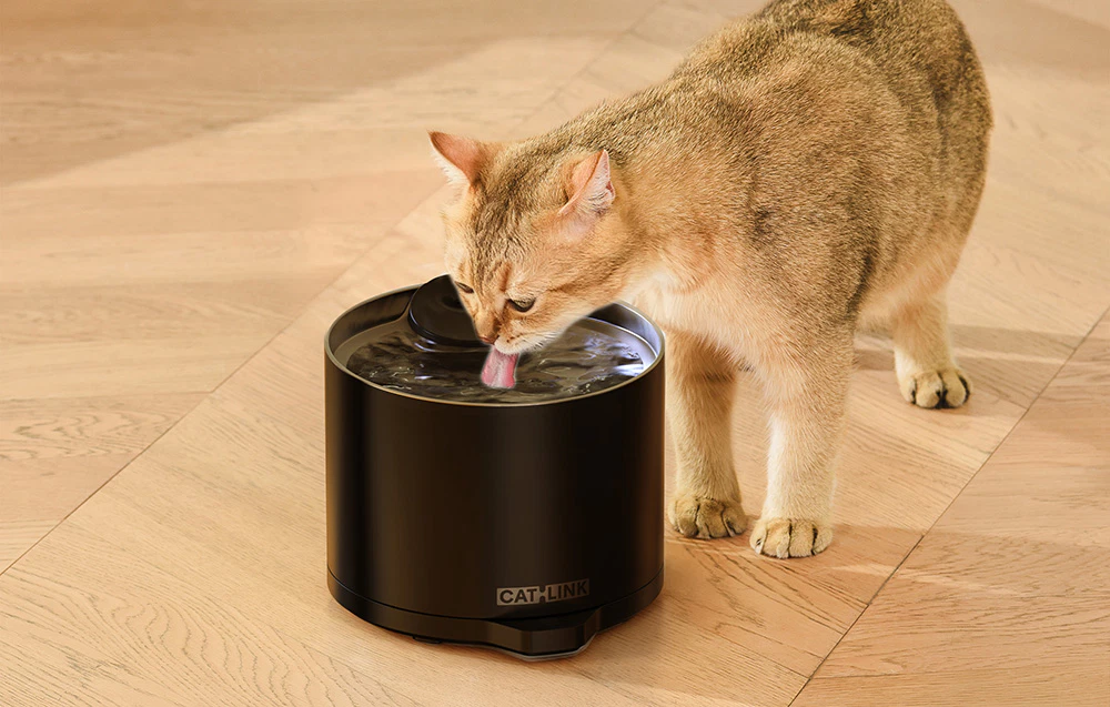 O pisică bej care bea apă dintr-o fântână automată Catlink neagră pentru animale de companie, așezată pe o podea din lemn