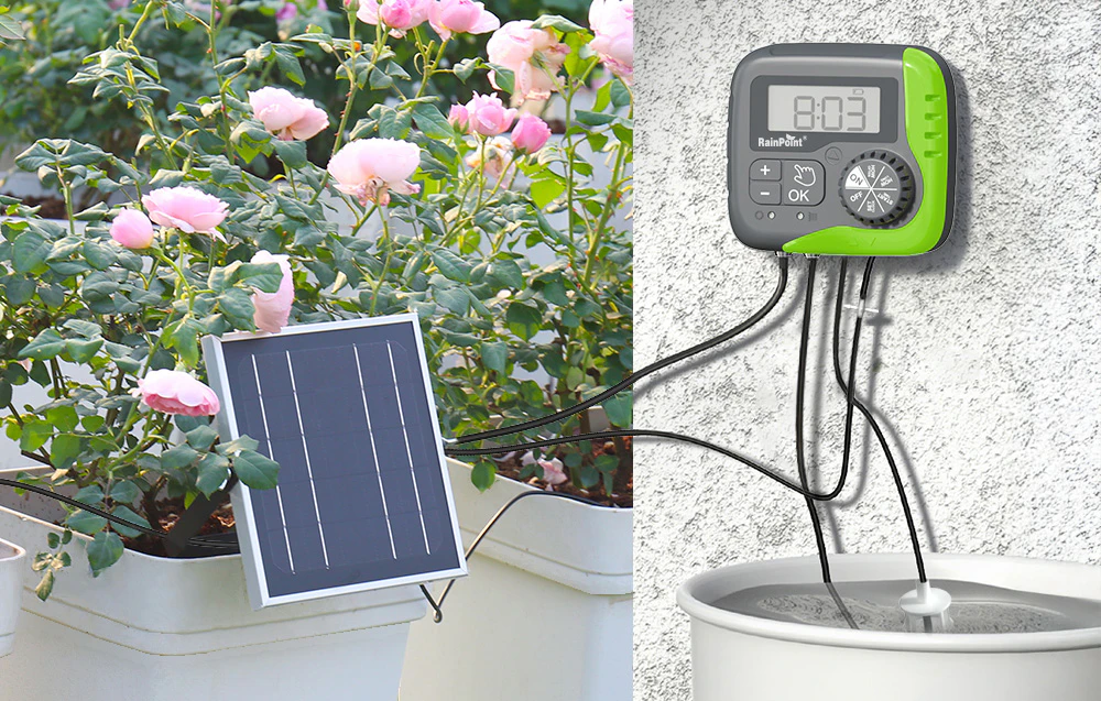 Sistemul de irigare solar RainPoint care extrage apă dintr-un rezervor pentru îngrijirea trandafirilor din ghivece de grădină