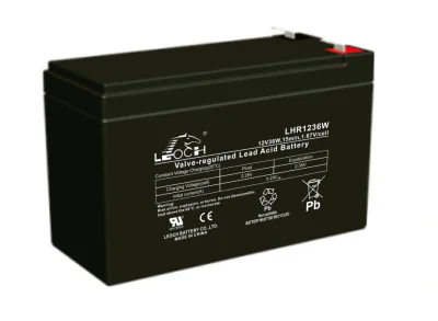 ACCU Leoch LHR1236W