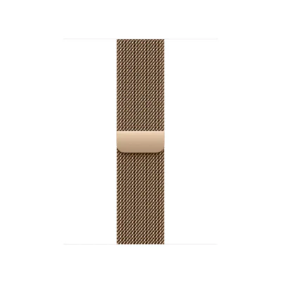 Apple Watch 40mm Loop:  Gold Milanese Loop