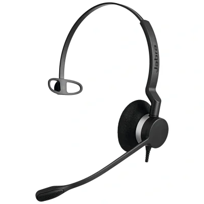 Biz 2300