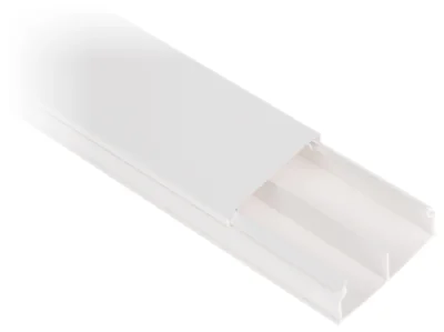 Canal de cablu drept LEGRAND LE-638168, 50 x 20 mm, cu separator