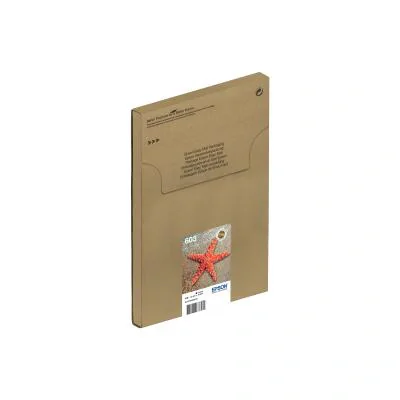 Cerneală imprimantă EPSON Multipack 4-colours 603 EasyMail