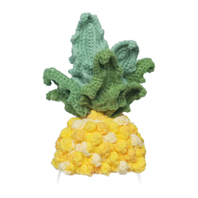 Costum tricotat pentru Loona Premium Pineapple
