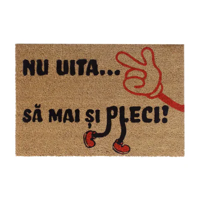 COVORAS INTRARE COCOS 60X40 CM, FUN, GO