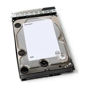 DELL 401-ABHY, 12 TB, 7200 RPM, 3.5", Serial ATA III