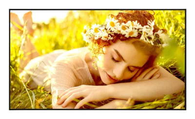 DISPLAY LCD 50" 4K/50UL5Q-E LG