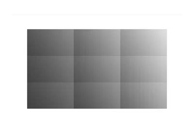 DISPLAY LCD 55"/55VSH7J-H LG