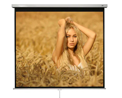 Ecran proiectie manual, perete/tavan, 240 x 240 cm, Blackmount, Format1:1