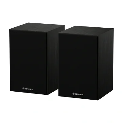 GENESIS NGS-2343, 2.0 channels, Wired & Wireless, 20 W, 60 - 20000 Hz, Black