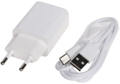 Încărcător de rețea USB DELTA POWER 5V/2A/USB/C, 5 V, 2 A, max. 10 W