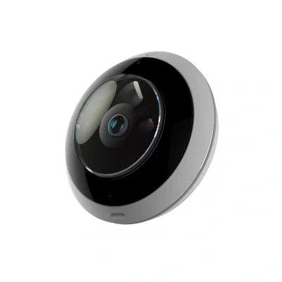 "Indoor/outdoor 2K PoE camera with pan-t