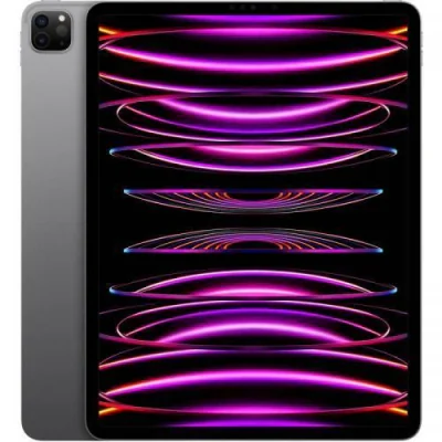 IPAD PRO(6th) 12.9 CELLULAR 256G US GREY "MP203LL/A"