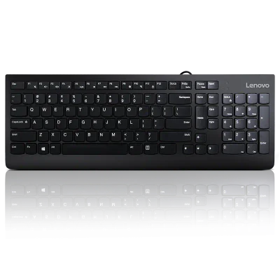 Lenovo 300 USB Keyboard - US English, Tip: Standard, Interfata tastatura: USB, Tehnologie: cu fir, Tastatura iluminata: Nu, Culoare: Negru, Dimensiune: 424 x 146 x 20 mm, Greutate: 76g, Garantie: 1 an