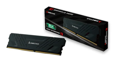 Memorie DDR Biostar "Storming V", 8GB, DDR4, 3200 MHz, 1 modul, radiator, 1.35V, CL16, "DO32NU4H08"