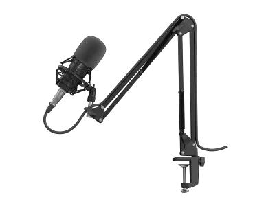 Microfon Genesis Radium 300 STUDIO XLR, tip electret condenser, model cardioid, suport fix, conectivitate Mini Jack 3.5 mm, XLR, , raspuns in frecventa 630 - 16000 Hz, sensibilitate -38 dB, lungime cablu 250 cm, negru