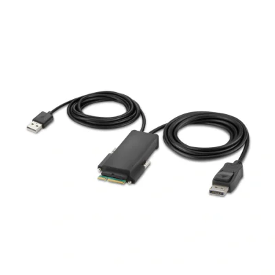MODULAR DP SINGLE HEAD/HOST CABLE 6 FEET