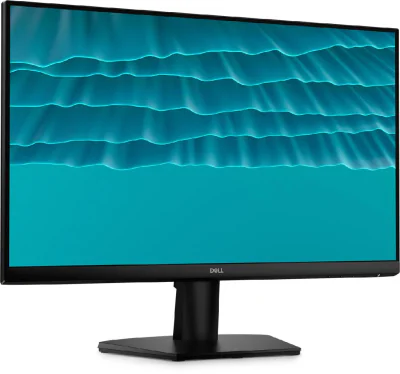 MON 24 DELL SE2426H S