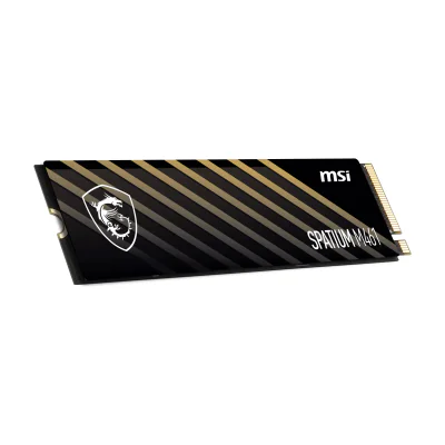 MSI Spatium S78-440L1D0-P83, 1 TB, M.2, 5000 MB/s