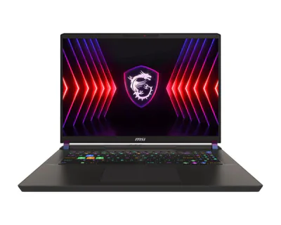 NB VECTOR 17HX CI9-14900HX 17"/32GB/1TB 9S7-17S162-1013 MSI