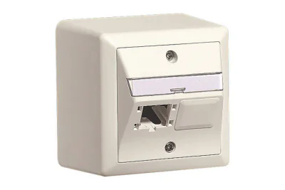 NET ACC OUTLET 2X1P 80X80/WHITE R310786 R&M