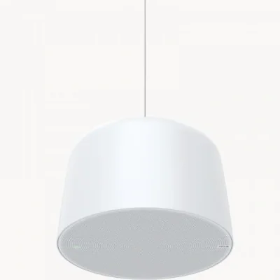 NET SPEAKER PENDANT/C1510 02389-001 AXIS
