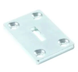 Placă de ancorare pe perete PLE ANCHORING PLATE D 730178