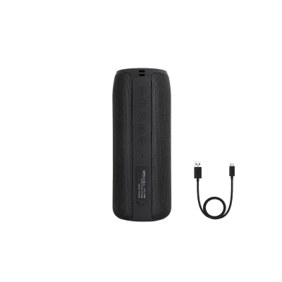 PLATINUM BLUETOOTH SPEAKER/